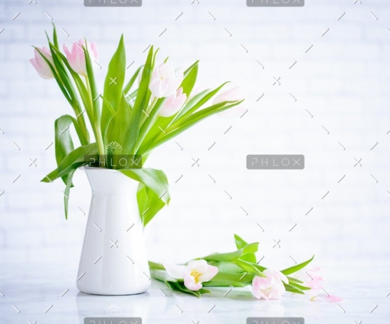Demo Image