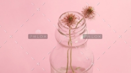 Demo Image