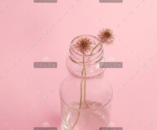 Demo Image